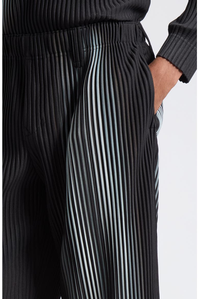In the Shadow Pleated Trousers, Alternate, color, SHADOW BLACK