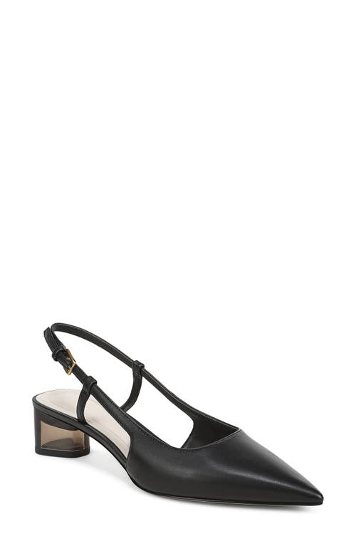 Sarto By Franco Sarto Amelie Slingback Pointed Toe Pump In Black