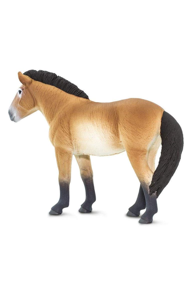 Safari Ltd. Przewalskis Horse Kids Toy Figure, Alternate, color, NO COLOR