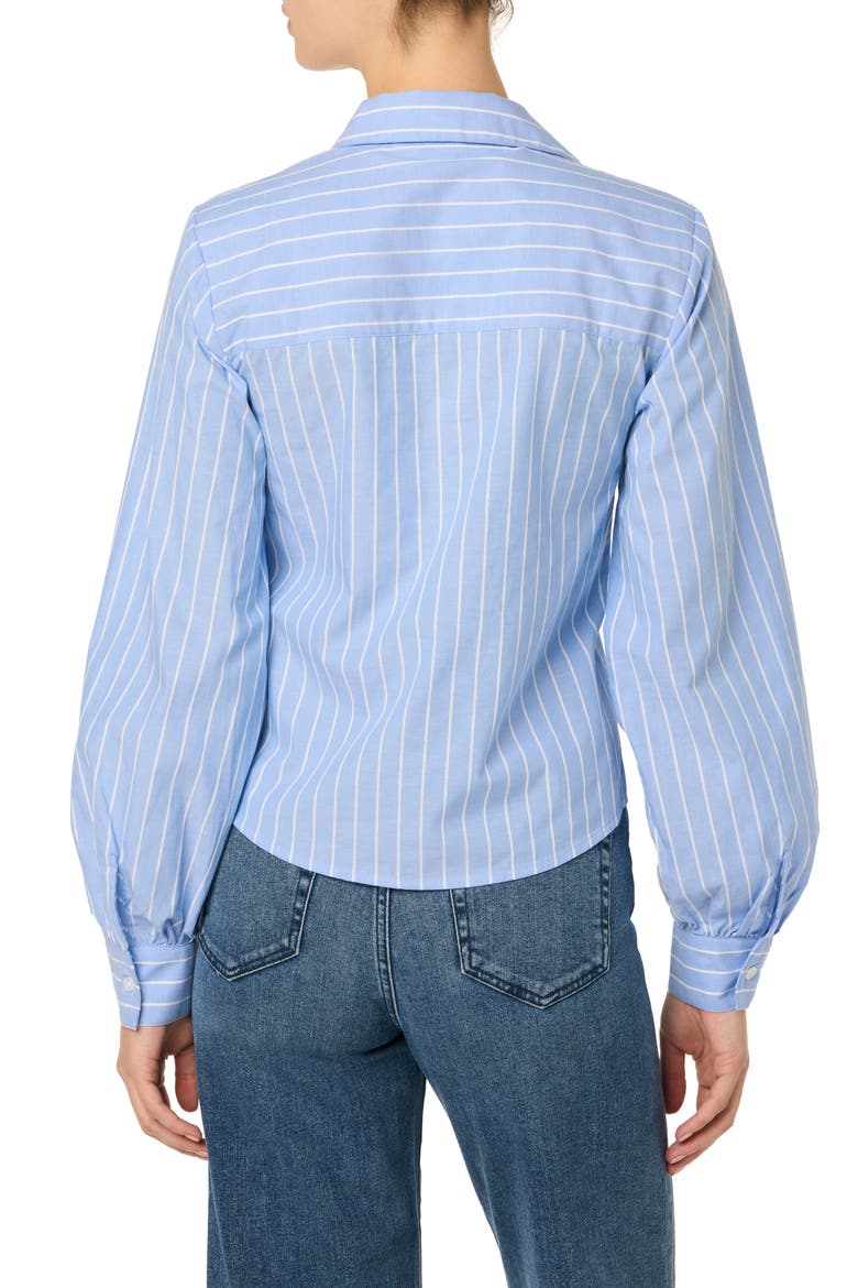 Stripe Pleated Cotton Button-Up Shirt, Alternate, color, BLUE/WHITE STRIPES