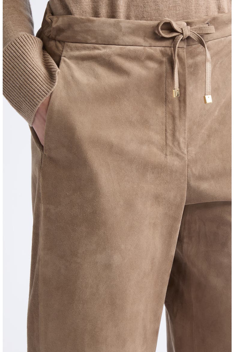 Tempio Suede Straight Leg Leather Pants, Alternate, color, COLONIAL