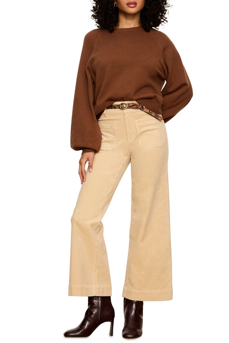 Raglan Sleeve Sweater, Alternate, color, COCOA POWDER BROWN