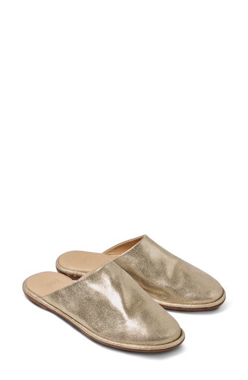 Beek Seagull Mule In Gold