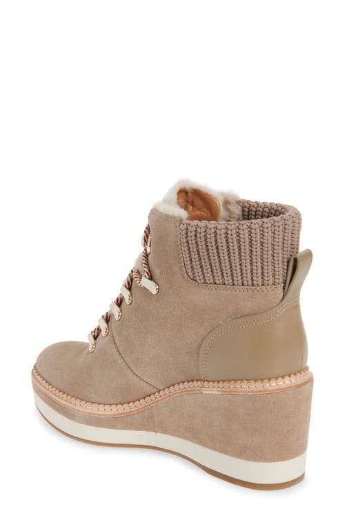 Kate Spade New York Willow Genuine Shearling Wedge Bootie In Brown