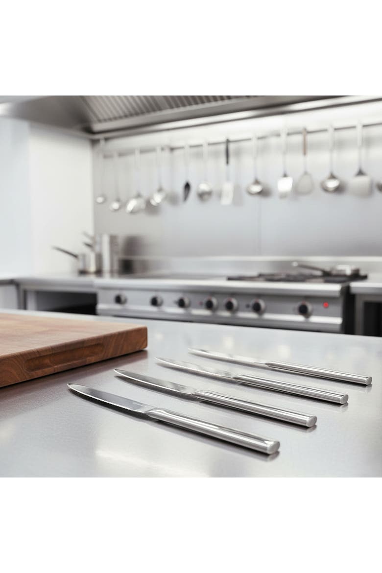 Stile Steak Knives Set - 4 Pieces, Alternate, color, Ice Champagne