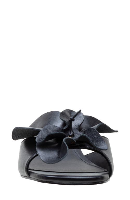 Linea Paolo Idalia Block Heel Sandal In Black