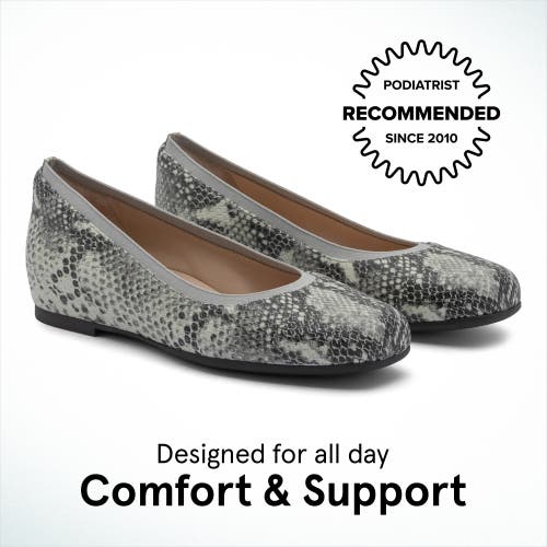 Abeo Cadence Ballet In Snake - Metatarsal