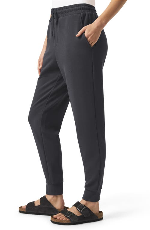 Splendid Tie Waist Waffle Stitch Scuba Joggers In Gray