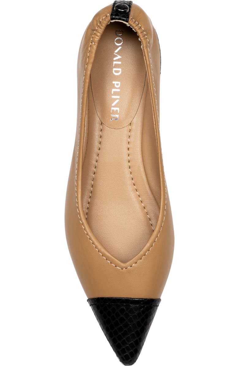Donald Pliner Ladonna Pointed Toe Pump, Alternate, color, Black/ Camel