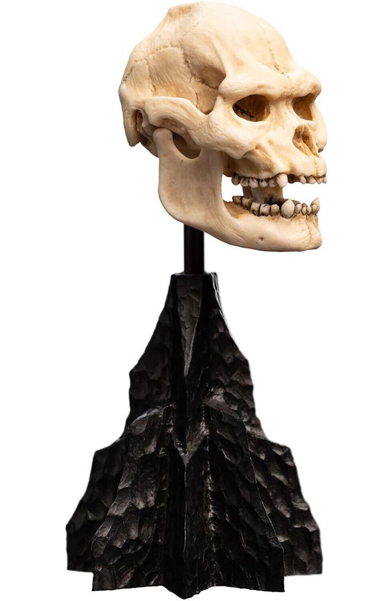 Weta Workshop Lotr - Skull Of Lurtz Polystone Statue, Alternate, color, 