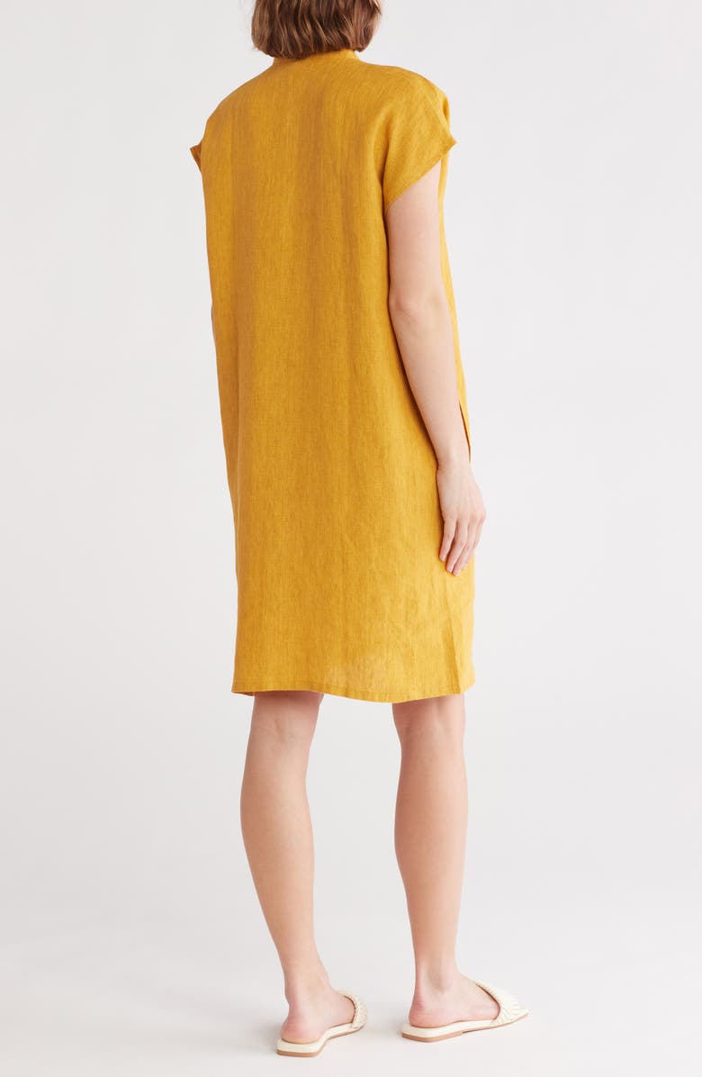 Eileen Fisher Short Sleeve Organic Linen Shift Dress, Alternate, color,