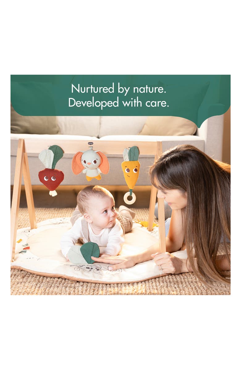 TINY LOVE Garden of Adventures Collection Activity Gym, Alternate, color, Garden Of Adventure Collection