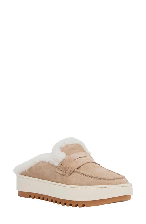 Aquatalia Amata Genuine Shearling Lined Mule In Ecru