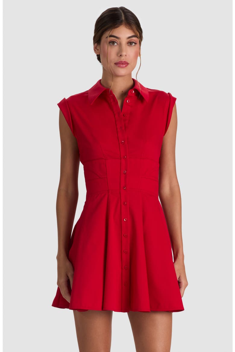 Kim Paneled Corset Fit and Flare Mini Shirtdress, Alternate, color, HIBISCUS