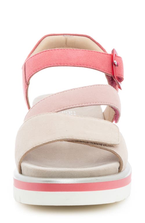 Ara Maldives Sandal In Shelll/piggy Pink/doll Pink