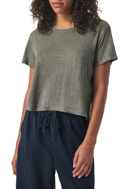 Splendid Lousia Short Sleeve T-shirt In Soft Vob