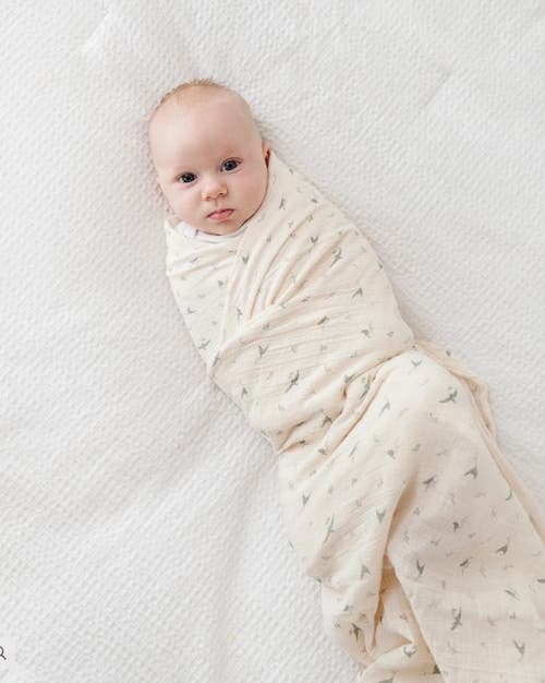 Ely's & Co. Cotton Muslin Swaddle Blanket 1 Pack