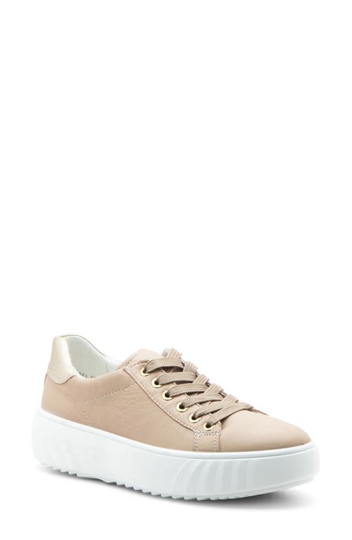 Ara Mikky Platform Sneaker In Neutral
