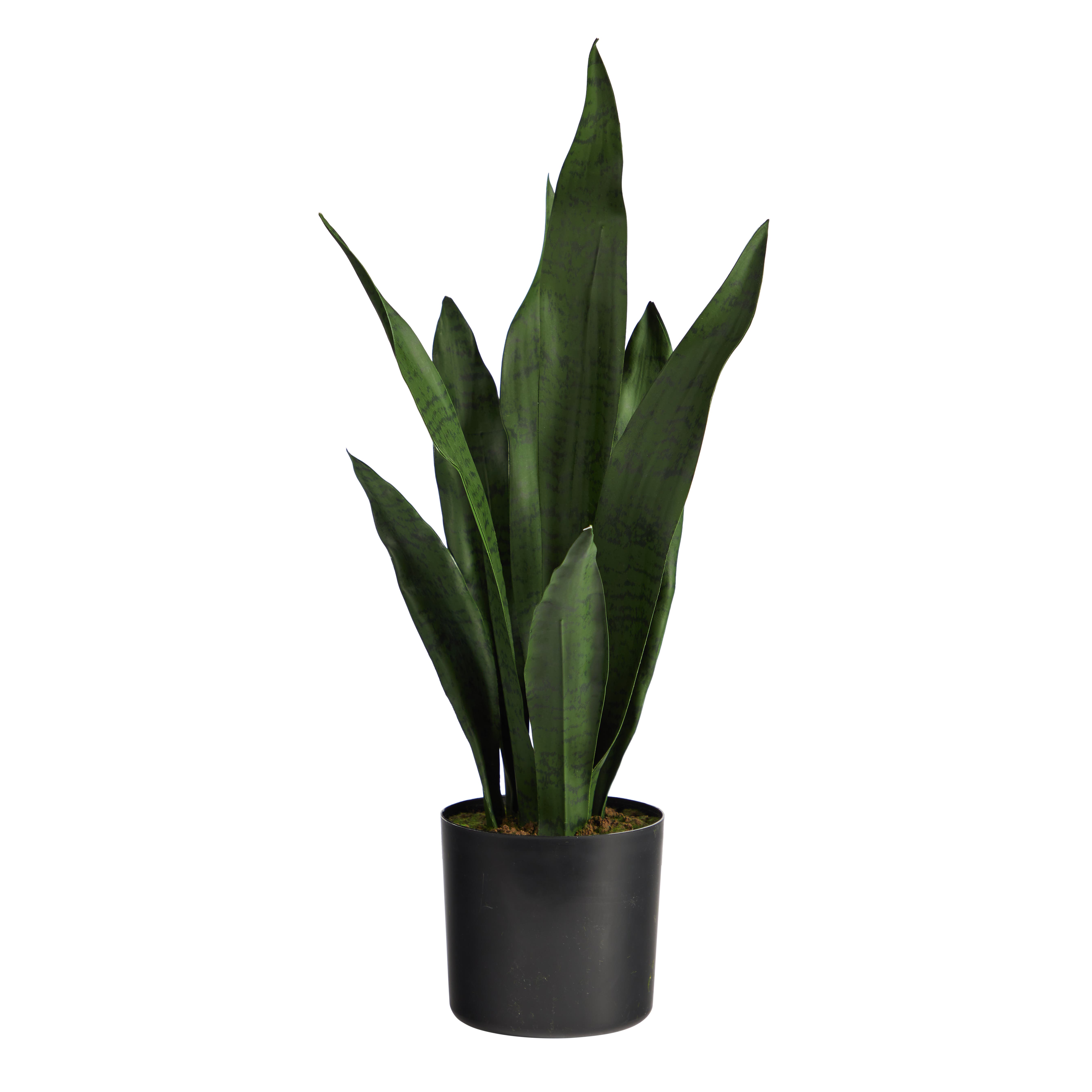 selected Green