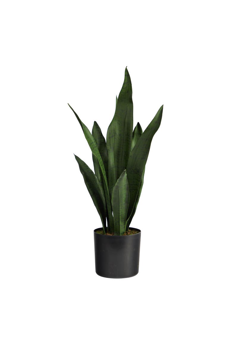 22-in Artificial Sansevieria Snake Plant, Main, color, Green