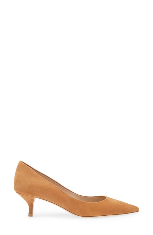 Stuart Weitzman Power Pointed Toe Kitten Heel Pump In Hazel