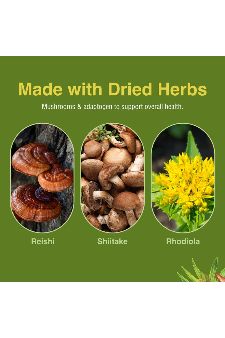 Deep Health - Daily Use Adaptogen Supplement - Aids Immune Health & Energy - with Reishi Mushroom - 60 Softgels, Alternate, color, No Color