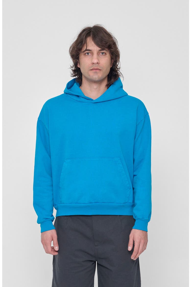 Trash Hoodie, Main, color, Malibu