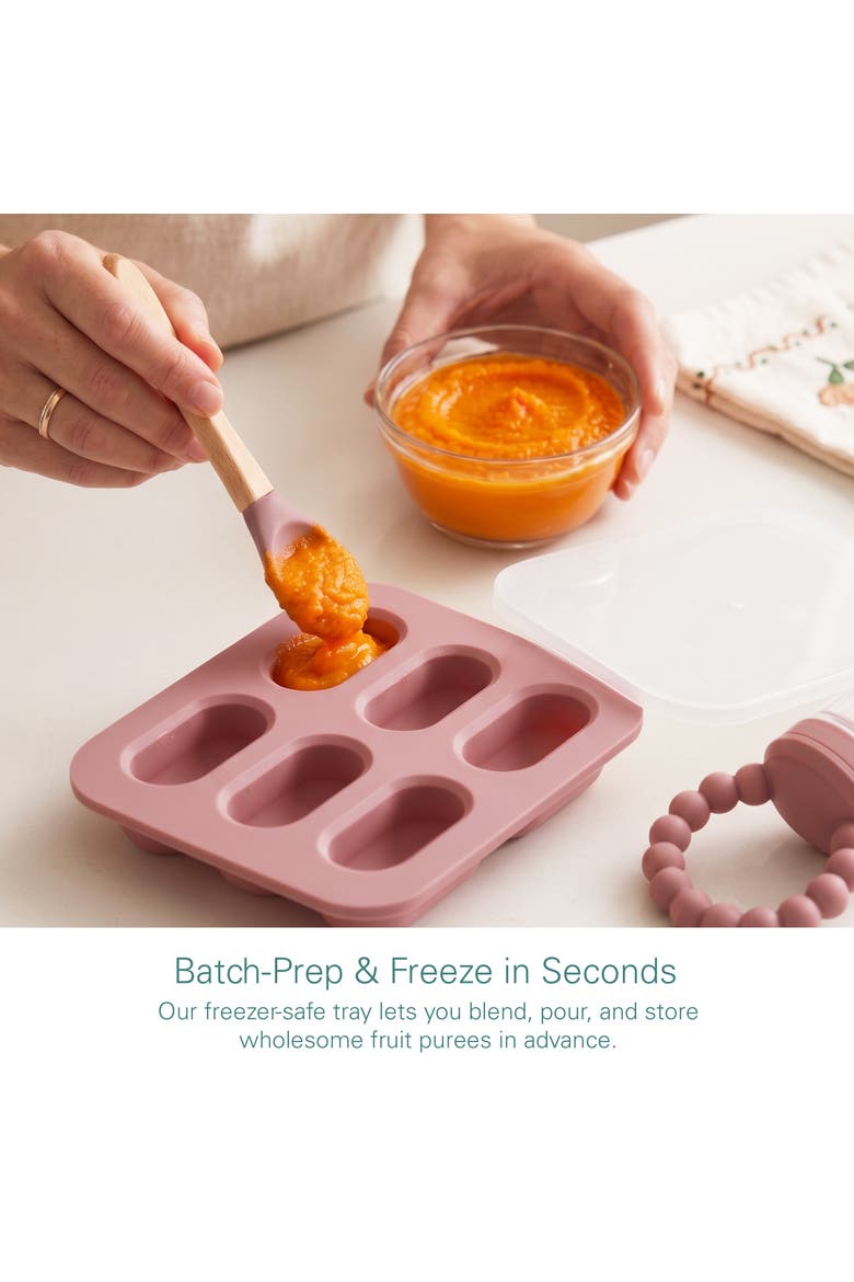Safe Convenient Silicone Baby Fruit Feeders Dishwasher Safe Freezer Tray Set, Alternate, color, Pink