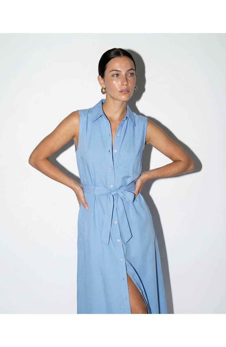 The Shirt by Rochelle Behrens The Sleeveless Midi Dress, Alternate, color, Light Blue