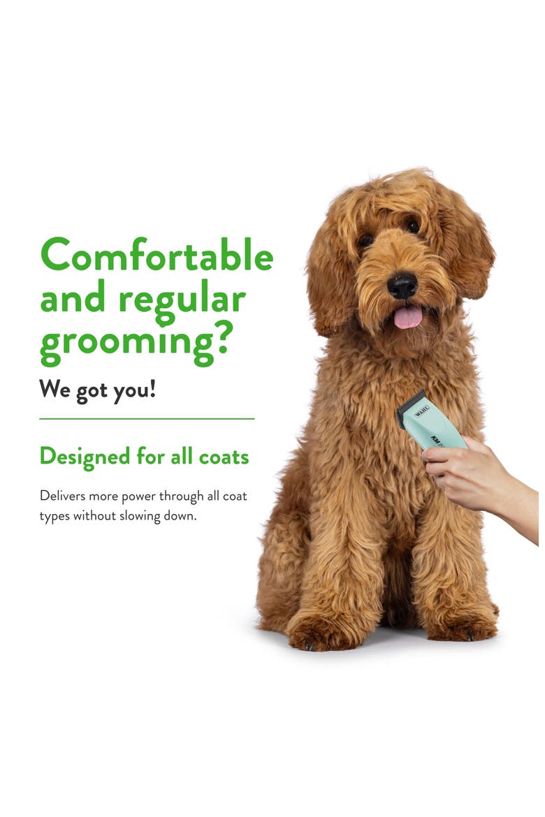 Corded Grooming Clipper Kit with Guide Combs for Dog, Cat, and Horse Grooming, Alternate, color, Turquoise