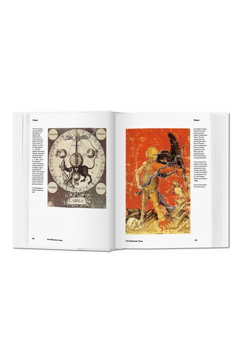 Alchemy and Mysticism Book, Alternate, color, Brown