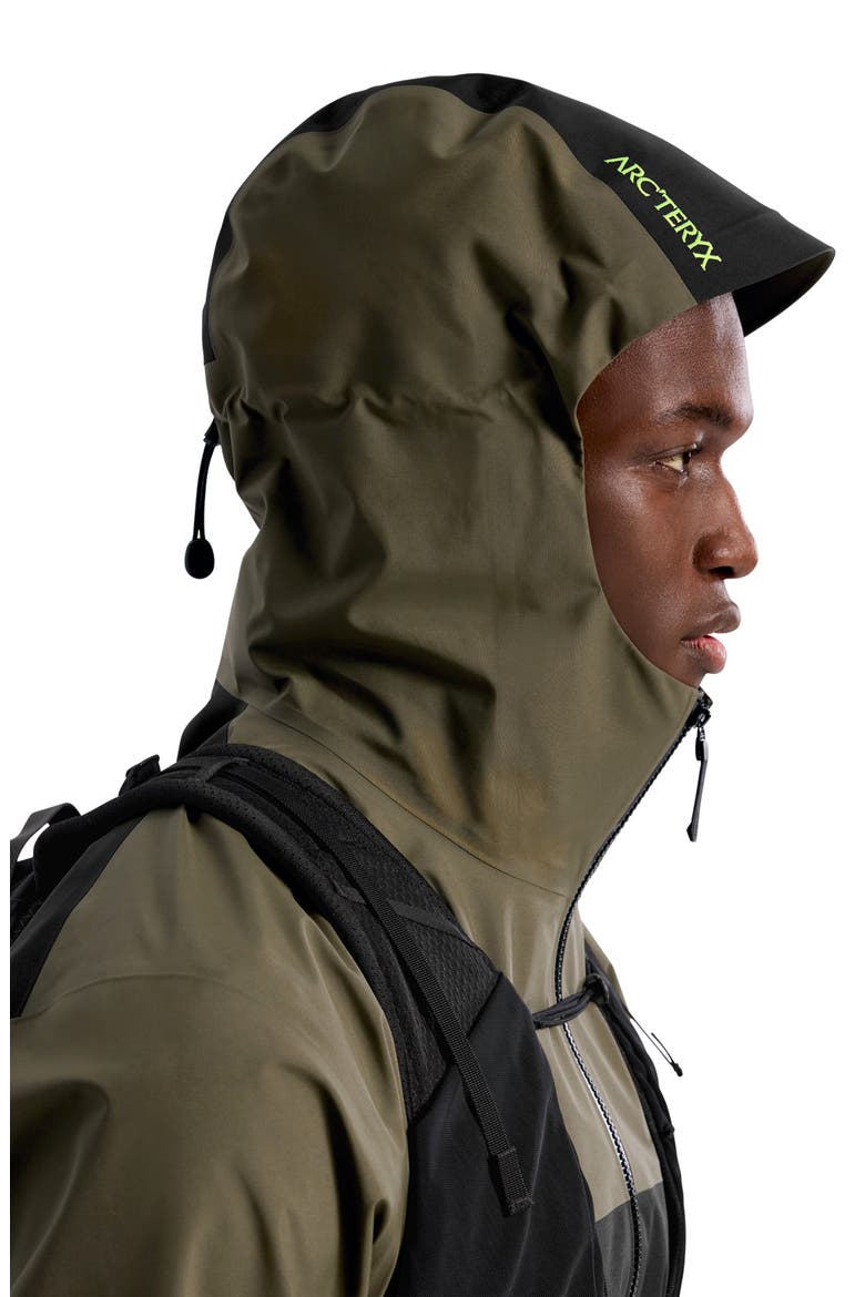 Beta SL Hybrid Gore-Tex® Hooded Jacket, Alternate, color, SPOTLIGHT