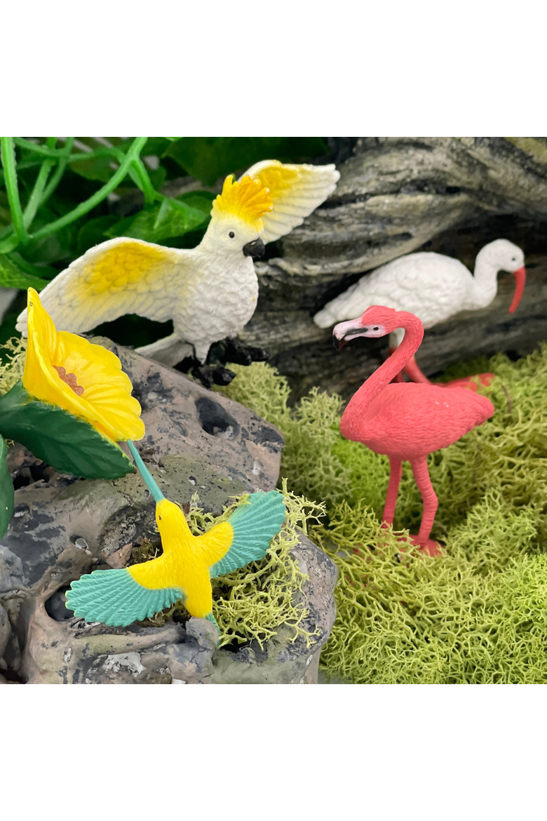 Exotic Birds Toy, Alternate, color, No Color