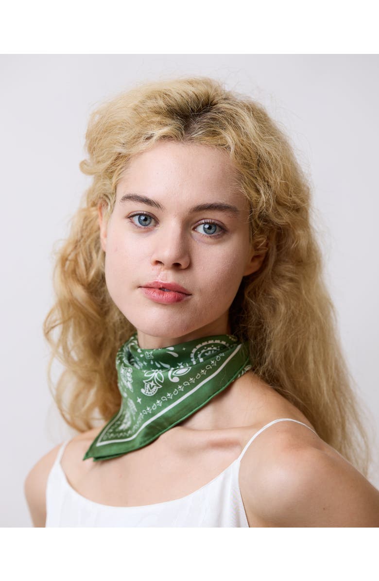 Lost Pattern "Paisley" Silk Bandana Scarf, Alternate, color, Sagebrush Green