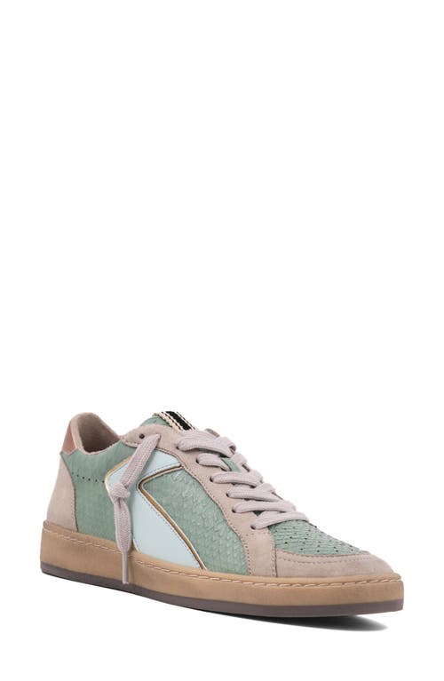 Shushop Salma Low Top Trainer