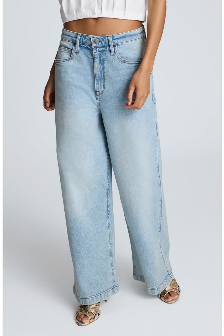 Low Rise Wide Leg Jeans, Alternate, color, VISTA WASH