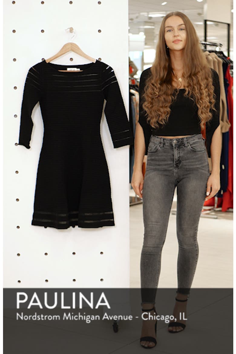Mesh Fit & Flare Dress video