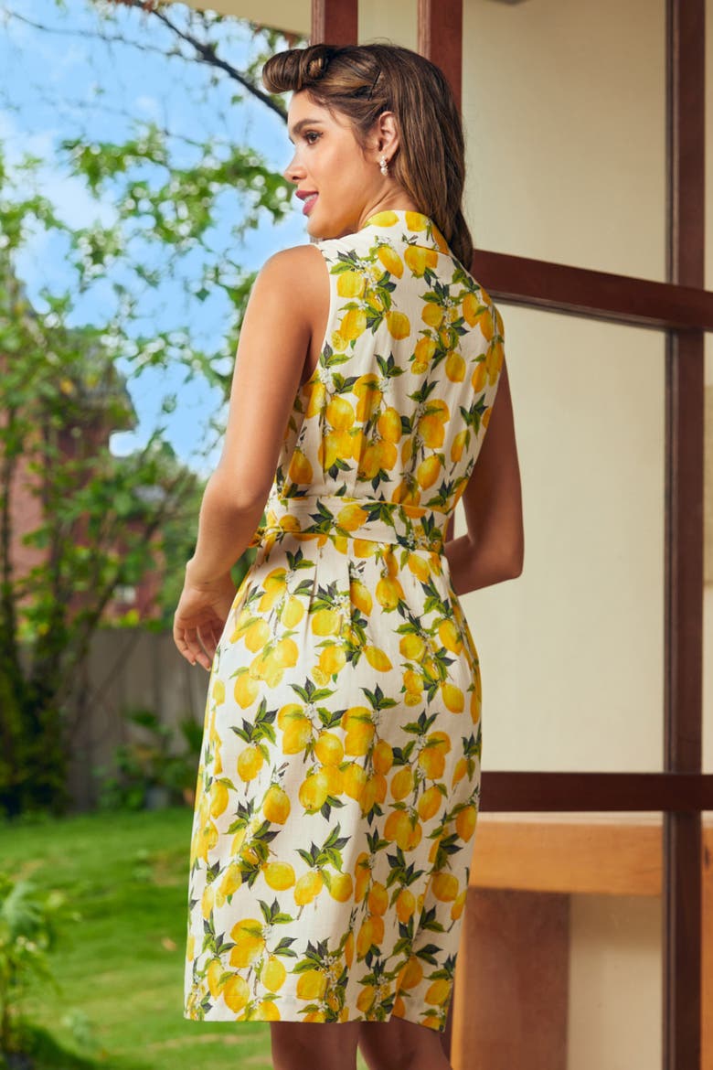 Can't Slow My Roll Shirt Dress with Pockets, Alternate, color, Lemon Spritz