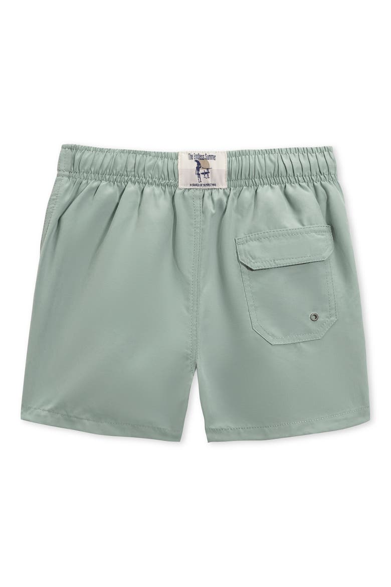 Kids' Solid Swim Trunks, Alternate, color, GREEN