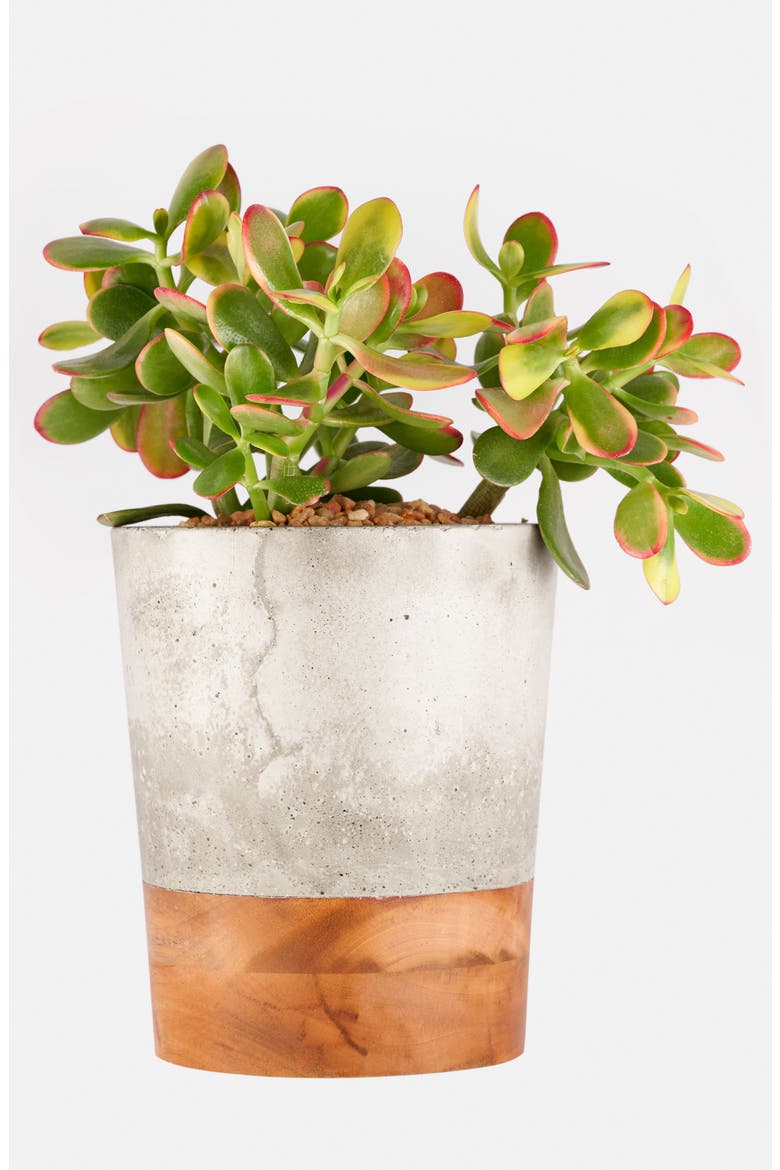Concrete & Wood Planter, Alternate, color, GREY CONCRETE AND WOOD-LARGE