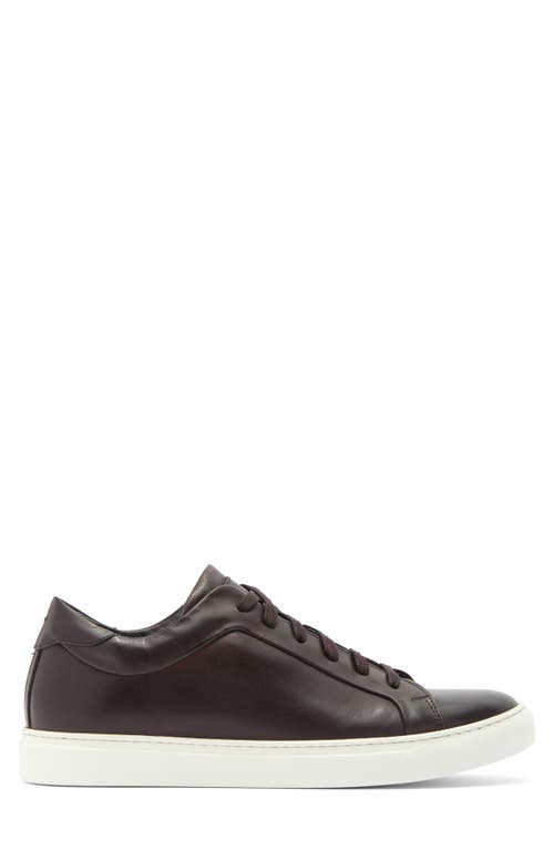 To Boot New York Mesa Low Top Sneaker In Brown