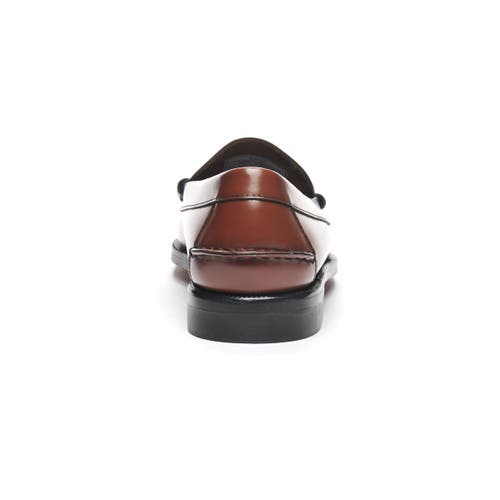 Sebago Classic Dan Penny Loafer In Brown