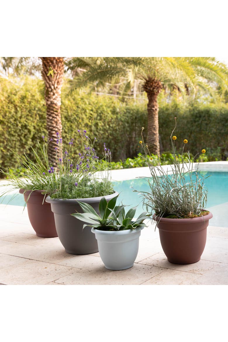 Ariana 13 Inch x 7 Inch Gardening Pot, Merlot, Alternate, color, Brown