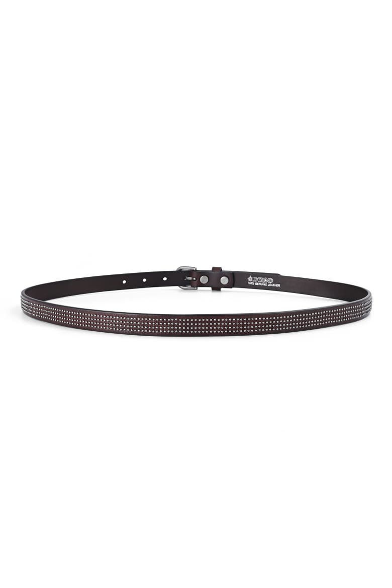 Stud Genuine Leather Slim Studded Everyday Belt, Alternate, color, Brown