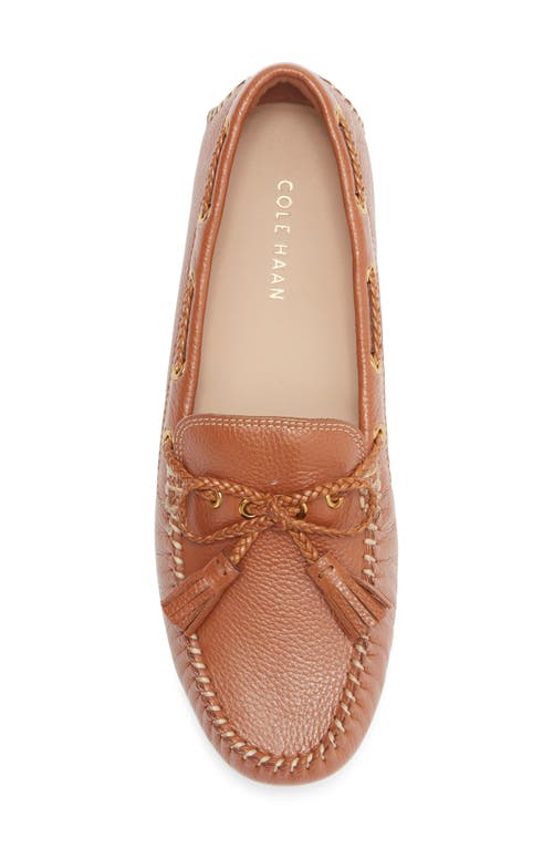 Cole Haan Gissella Croc Embossed Driving Loafer