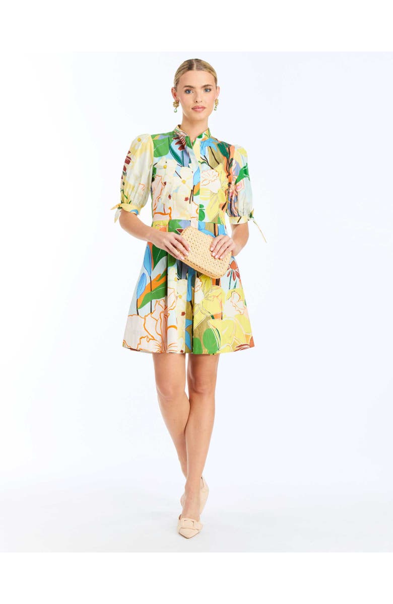 Mestiza New York Brooklyn Mini Dress, Alternate, color, Primrose Florals