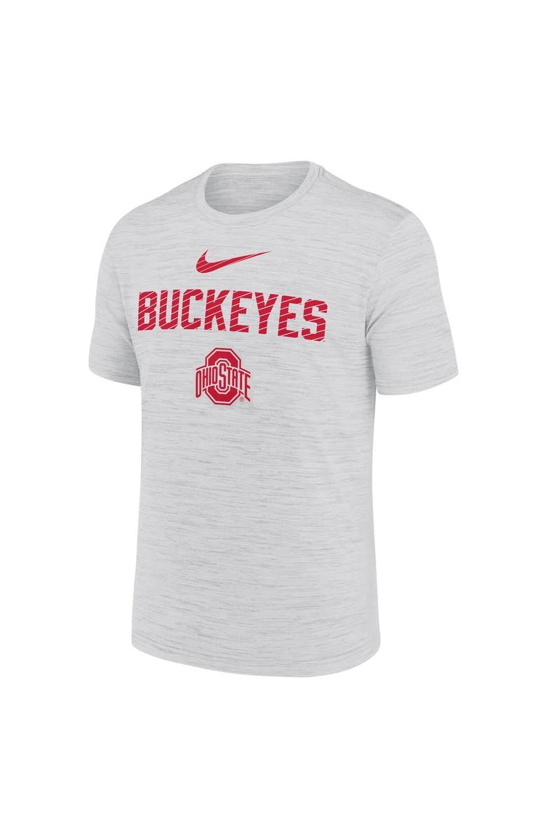 Nike Men's Nike White Ohio State Buckeyes Campus Slant Velocity Performance T-Shirt, Alternate, color, Gray