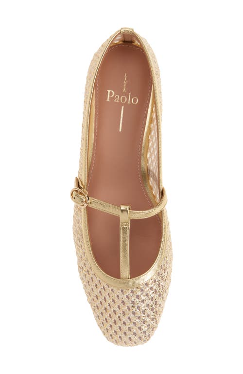 Linea Paolo Lilith Ankle Strap Sandal In Gold