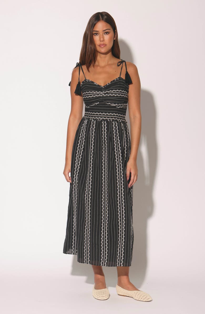 Walter Baker Carrie Tie Strap Embroidered Cotton Sundress, Alternate, color, Bonita Embroidery