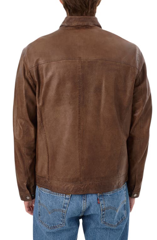 Regency Perforated Leather Jacket In Grey